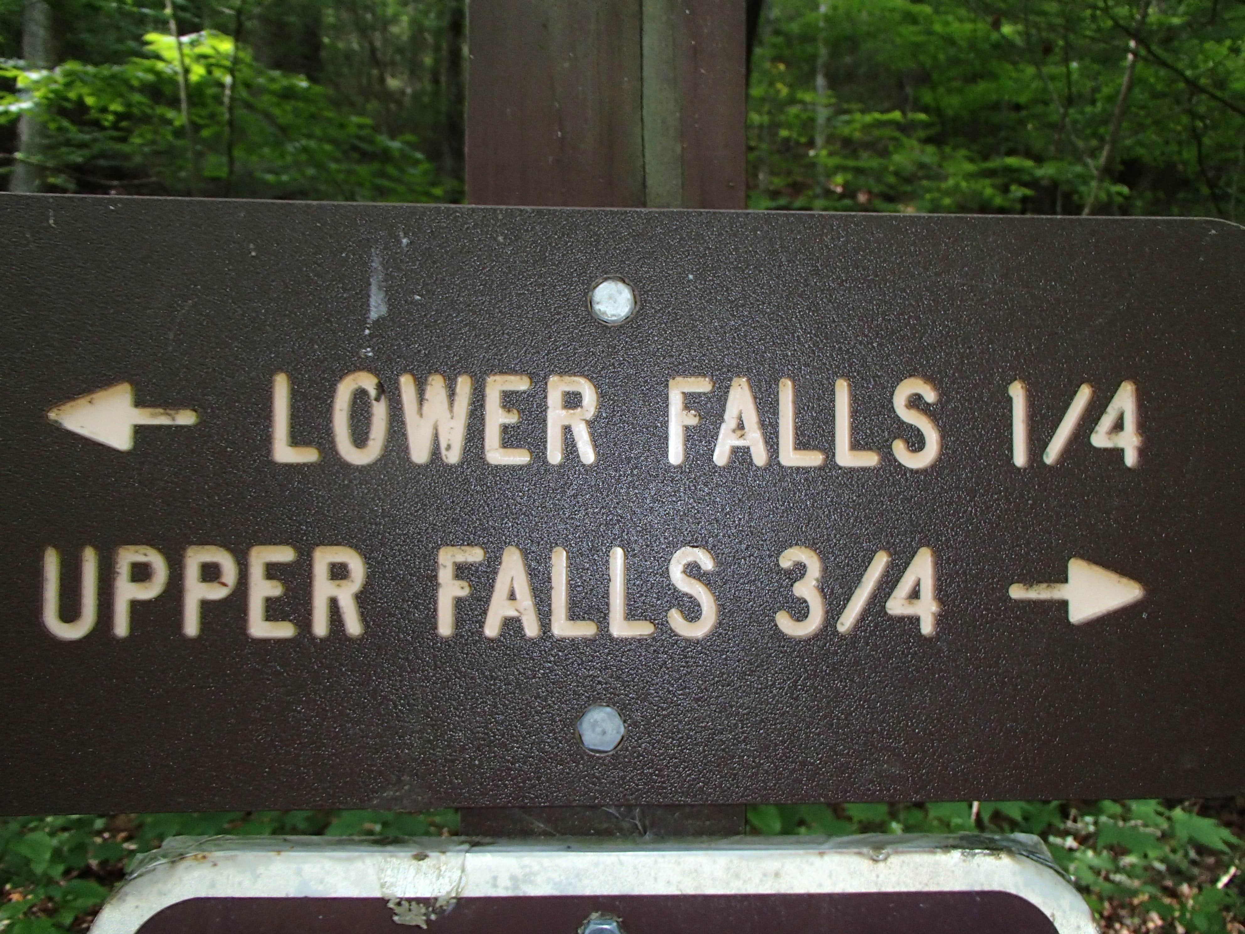 Camper submitted image from Desoto Falls Recreation Area - 4