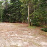 Review photo of Beech Hill Campground and Cabins by Jean C., August 19, 2019