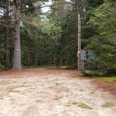 Review photo of Beech Hill Campground and Cabins by Jean C., August 19, 2019