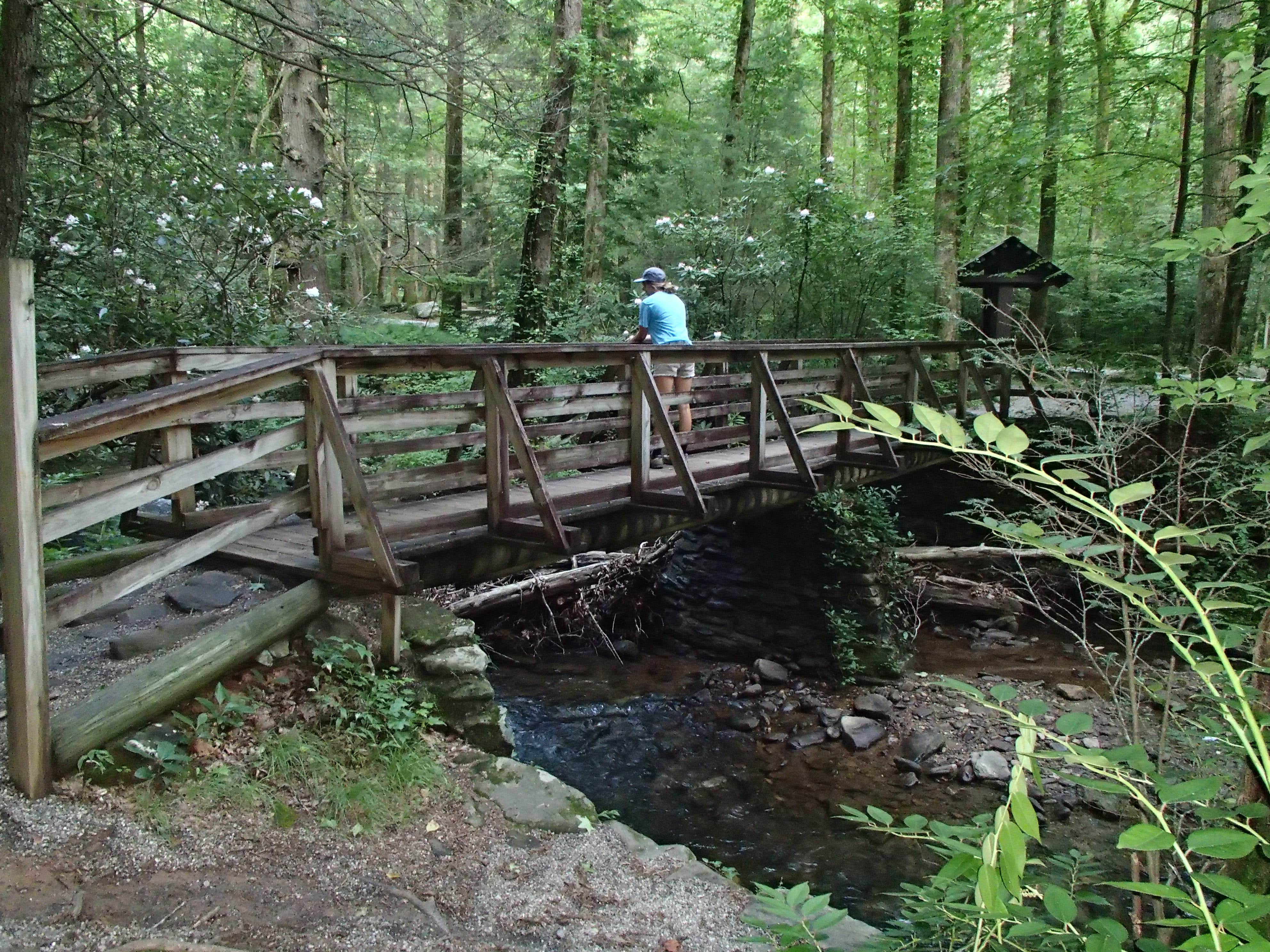 Camper-submitted photo at Desoto Falls Recreation Area near Cleveland, GA