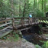 Review photo of Desoto Falls Recreation Area by Dave V., September 26, 2016