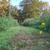 Review photo of Cuivre River State Park Campground by Missy D., August 19, 2019