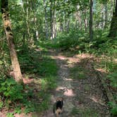 Review photo of Cuivre River State Park Campground by Missy D., August 19, 2019