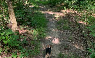 Missy D.'s photo of camping with pets at Cuivre River State Park Campground near Cottleville, MO