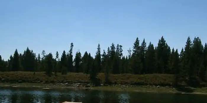 Camper submitted image from Mccrea Bridge