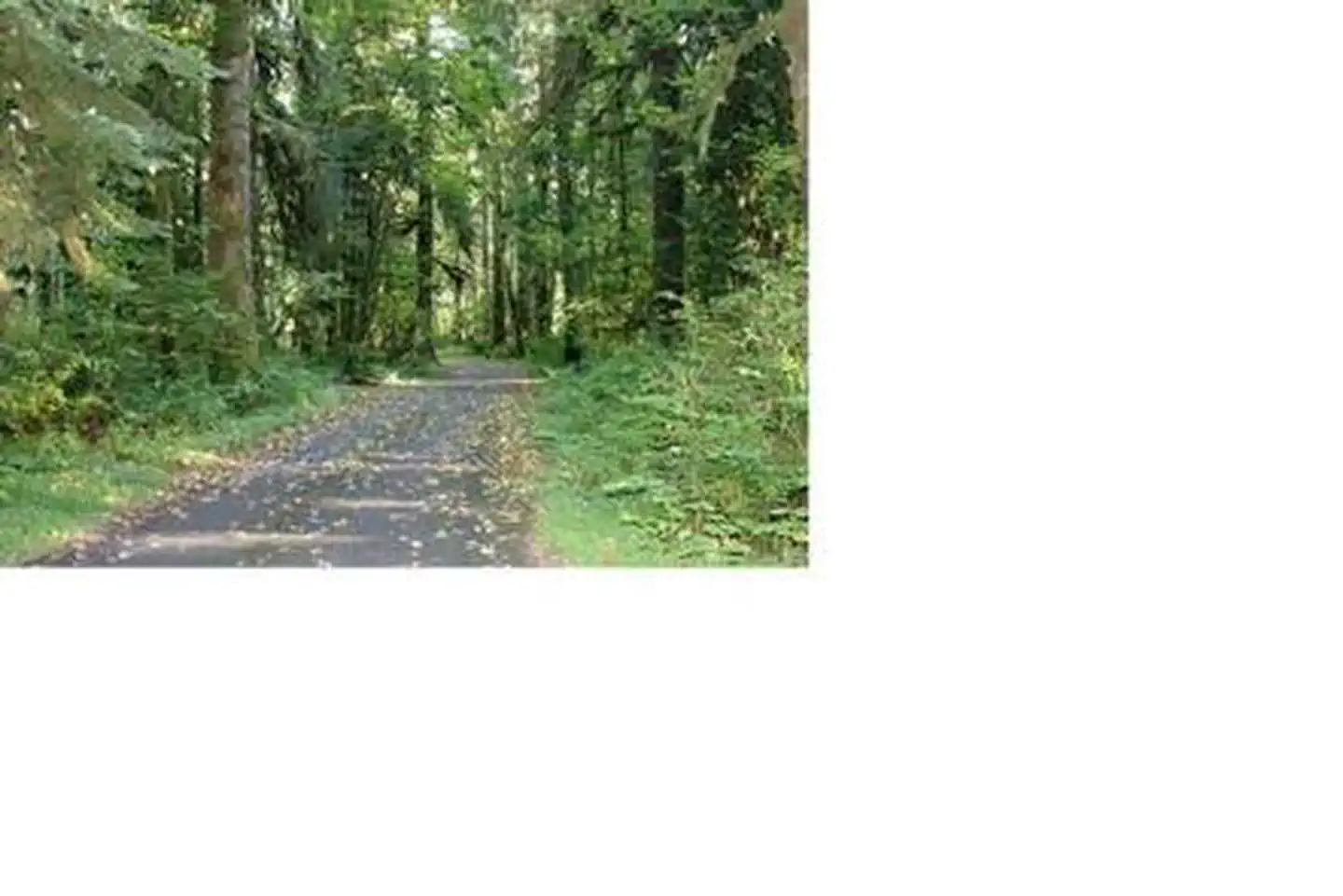 Camper-submitted photo at Turlo Campground near Mt. Baker-Snoqualmie National Forest