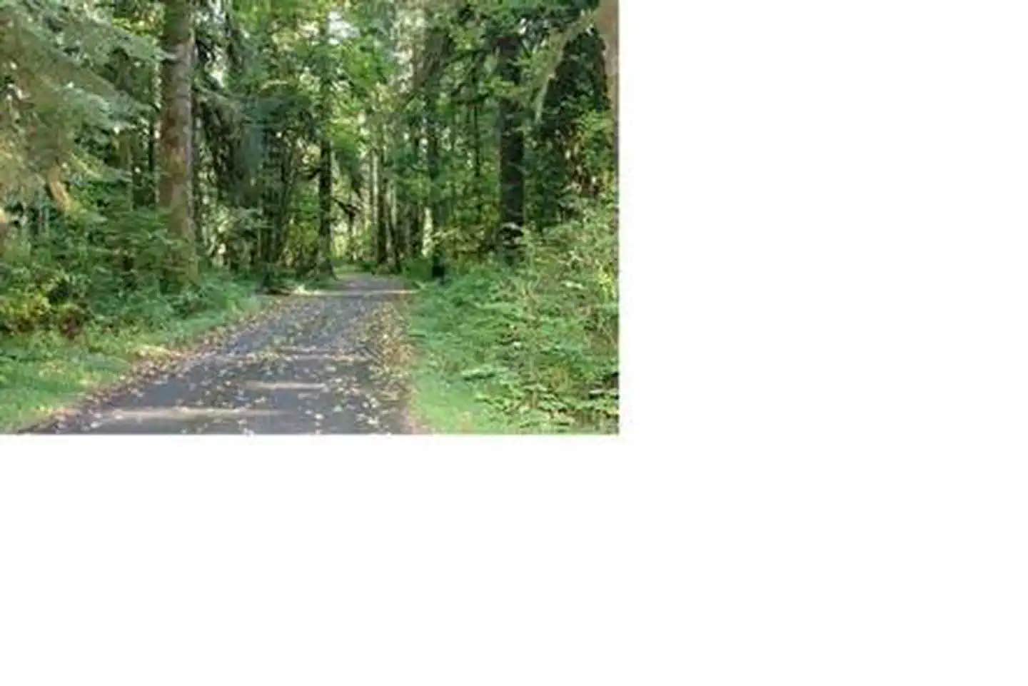 Camper submitted image from Turlo Campground - 1