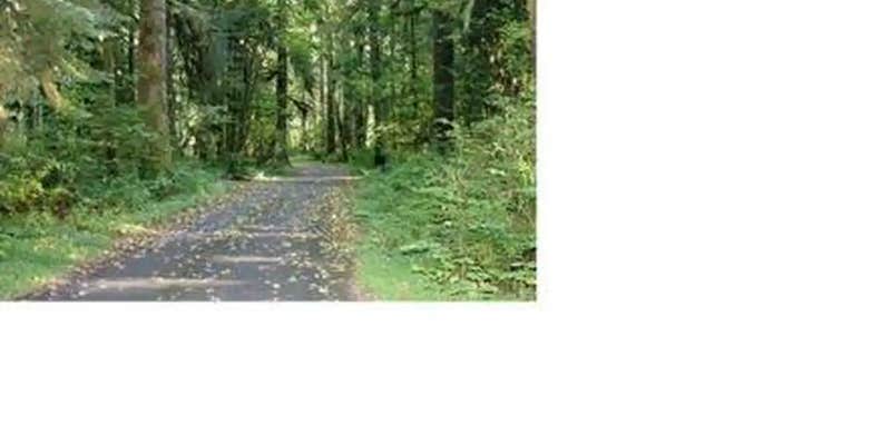 Camper submitted image from Turlo Campground