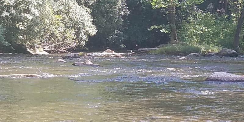 Camper submitted image from Smokey Mountain Campground