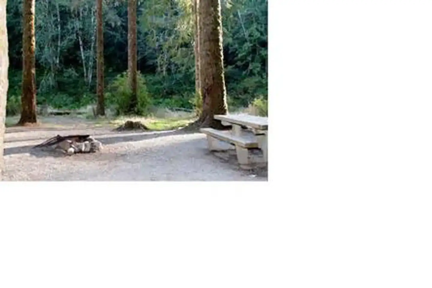 Camper-submitted photo at Turlo Campground near Mt. Baker-Snoqualmie National Forest