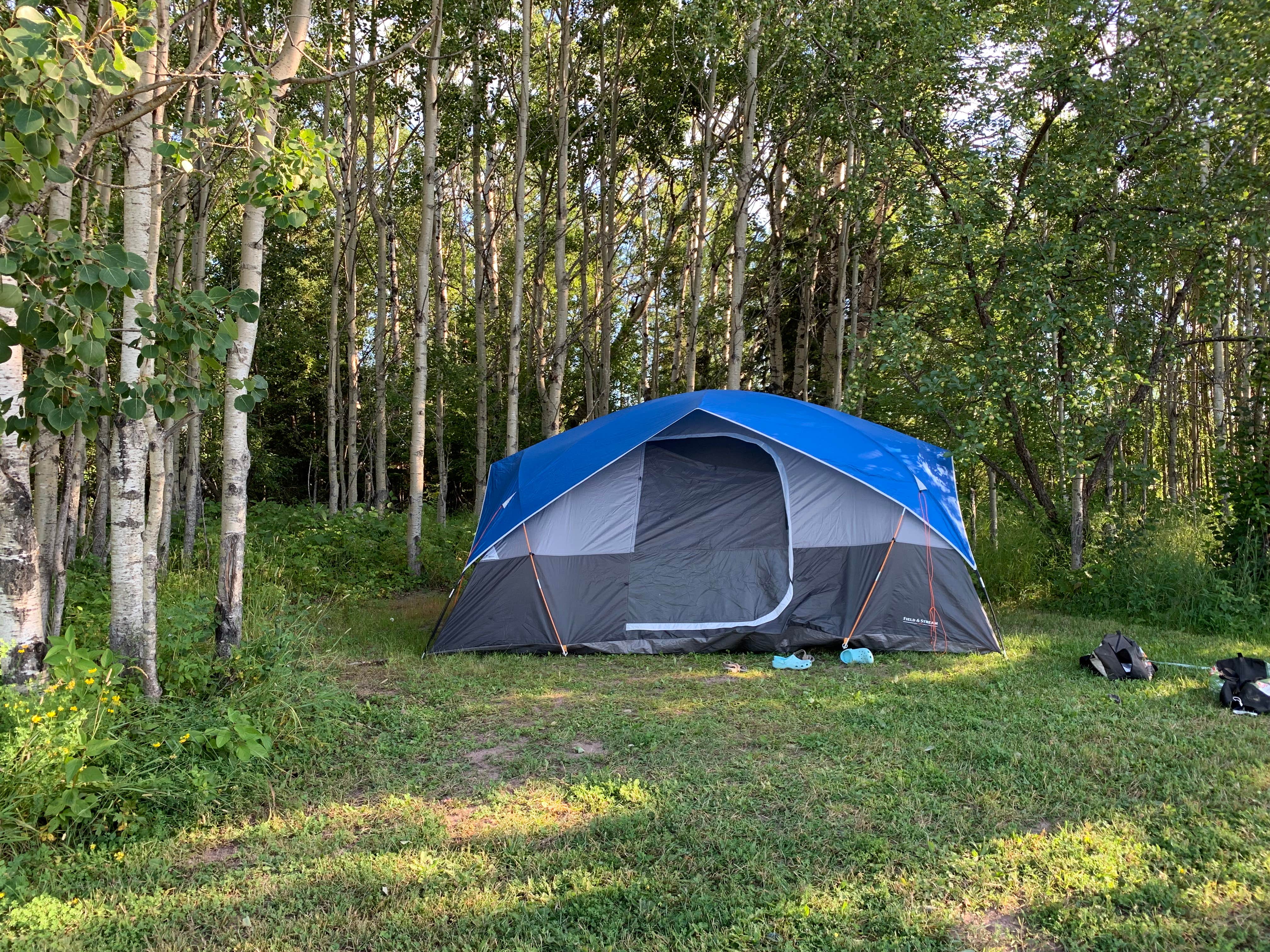 Kt D.'s photo of tent camping at Hungry Hippie Campground near Grand Marais, MN