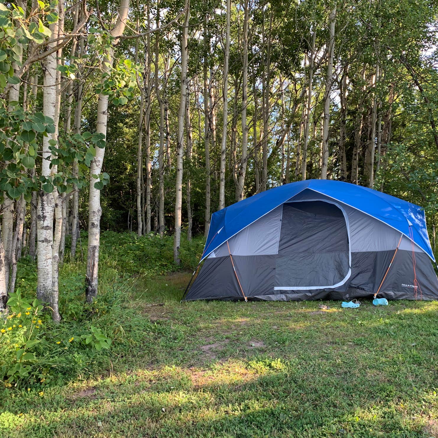 Hungry Hippie Campground | Grand Marais, MN