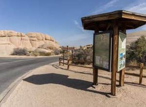 Jumbo Rocks Campground — Joshua Tree National Park
