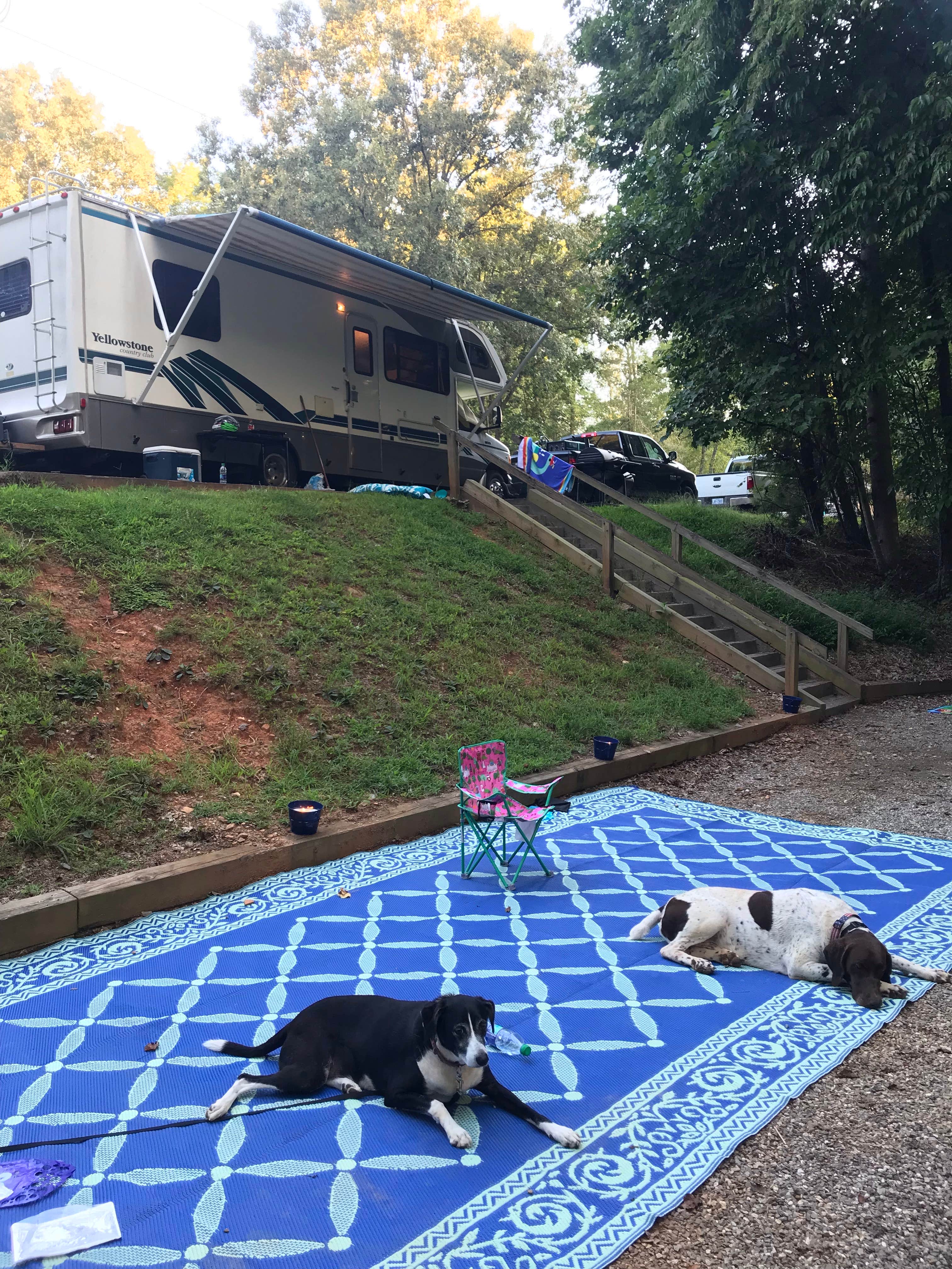 Ashley G.'s photo of camping with pets at Bandits Roost near Granite Falls, NC