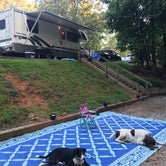 Review photo of COE W Kerr Scott Reservoir Bandits Roost Campground by Ashley G., August 19, 2019