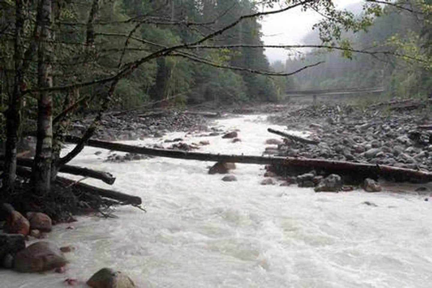 Camper submitted image from Boulder Creek Campground - 1