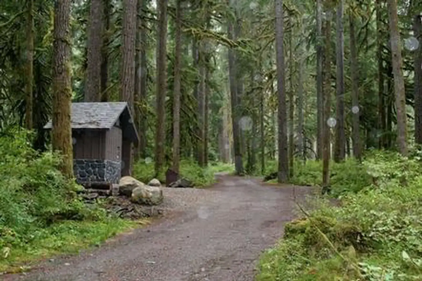 Camper-submitted photo at Boulder Creek Campground near Concrete, WA