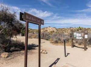 Jumbo Rocks Campground — Joshua Tree National Park
