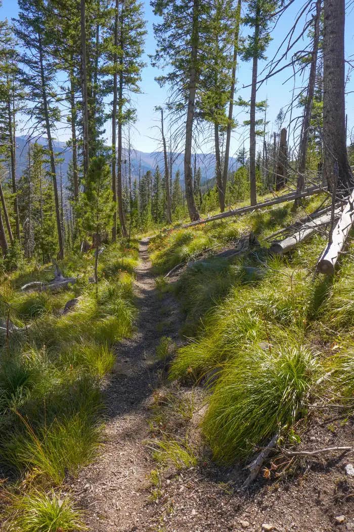 Camper submitted image from Medicine Point Lookout - 1