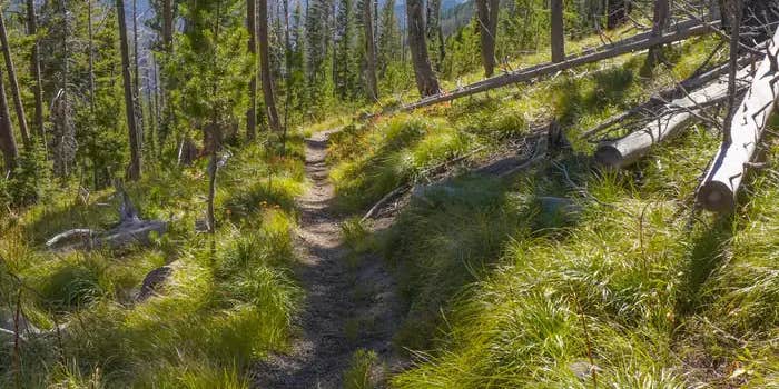 Camper submitted image from Medicine Point Lookout