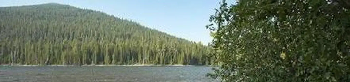 Camping near Cow Meadow Campground: Little Cultus Campground, La Pine, Oregon