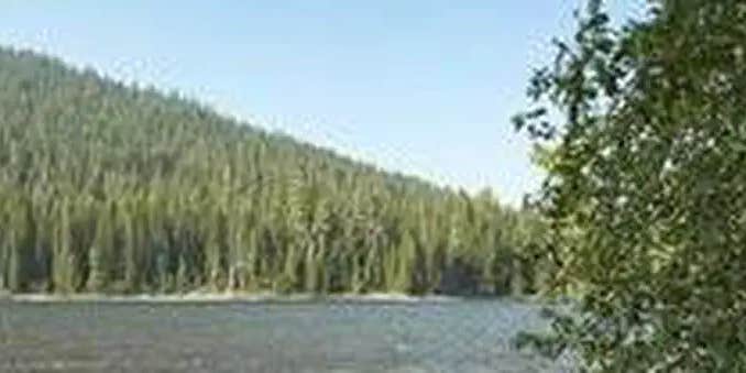 Camper submitted image from Little Cultus Campground