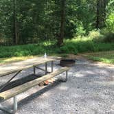 Review photo of Pine Grove Furnace State Park Campground by Angie G., August 19, 2019
