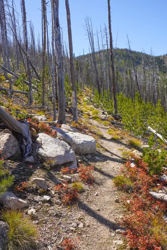 Camper-submitted photo at Medicine Point Lookout near Darby, MT
