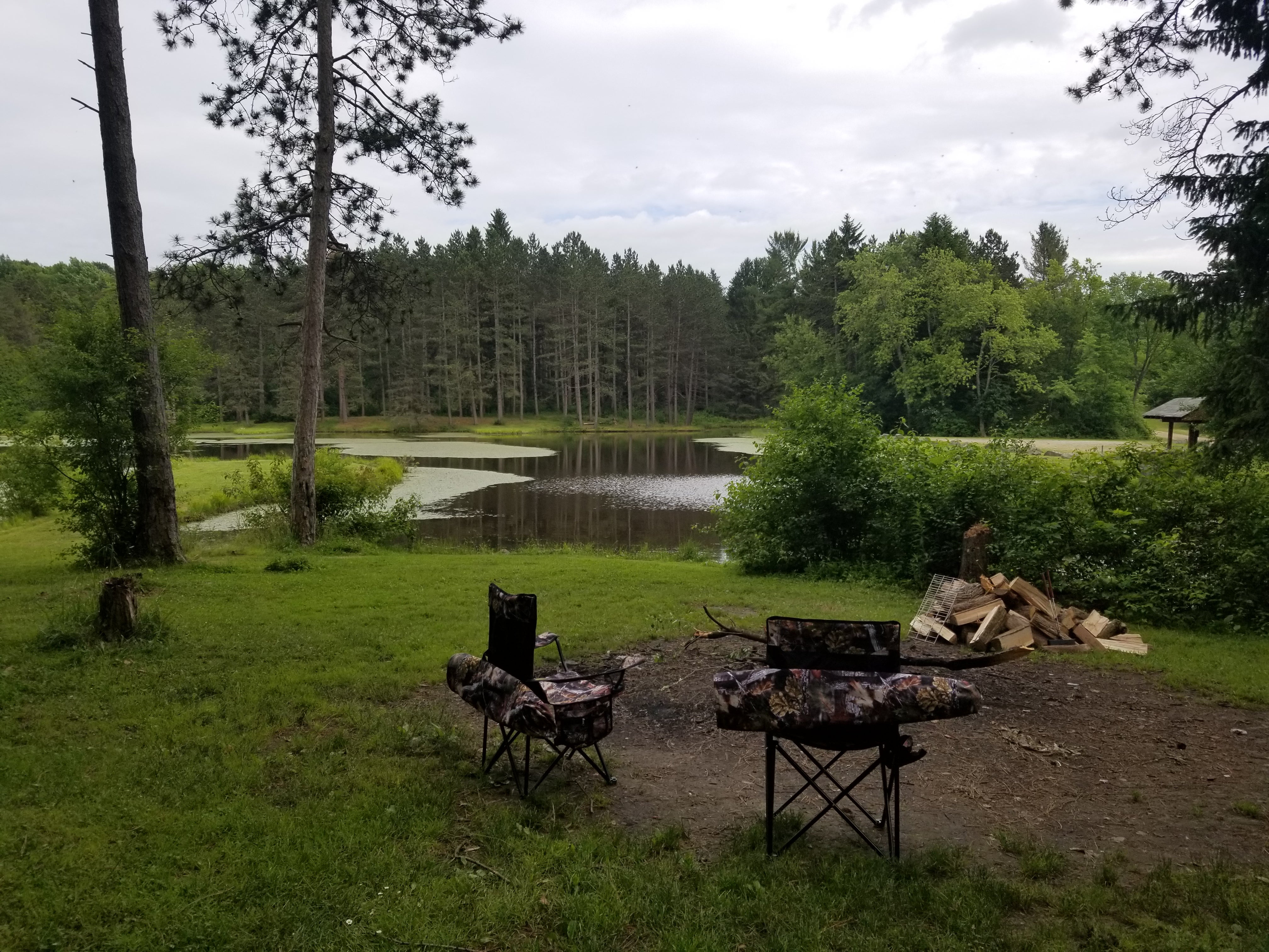 Camper submitted image from Palmers Pond State Forest - 3