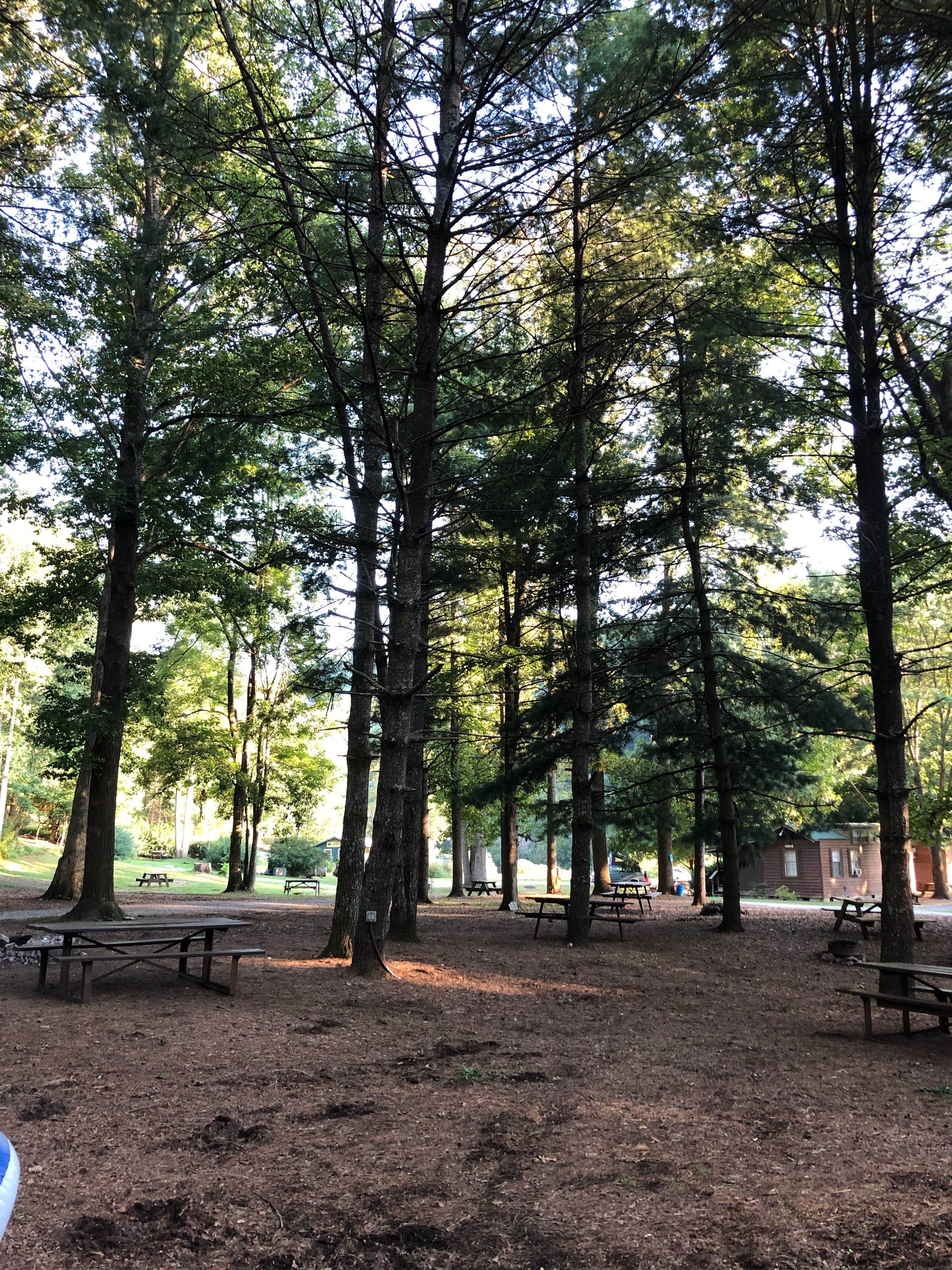 Camper submitted image from Nolichucky Gorge Campground - 5