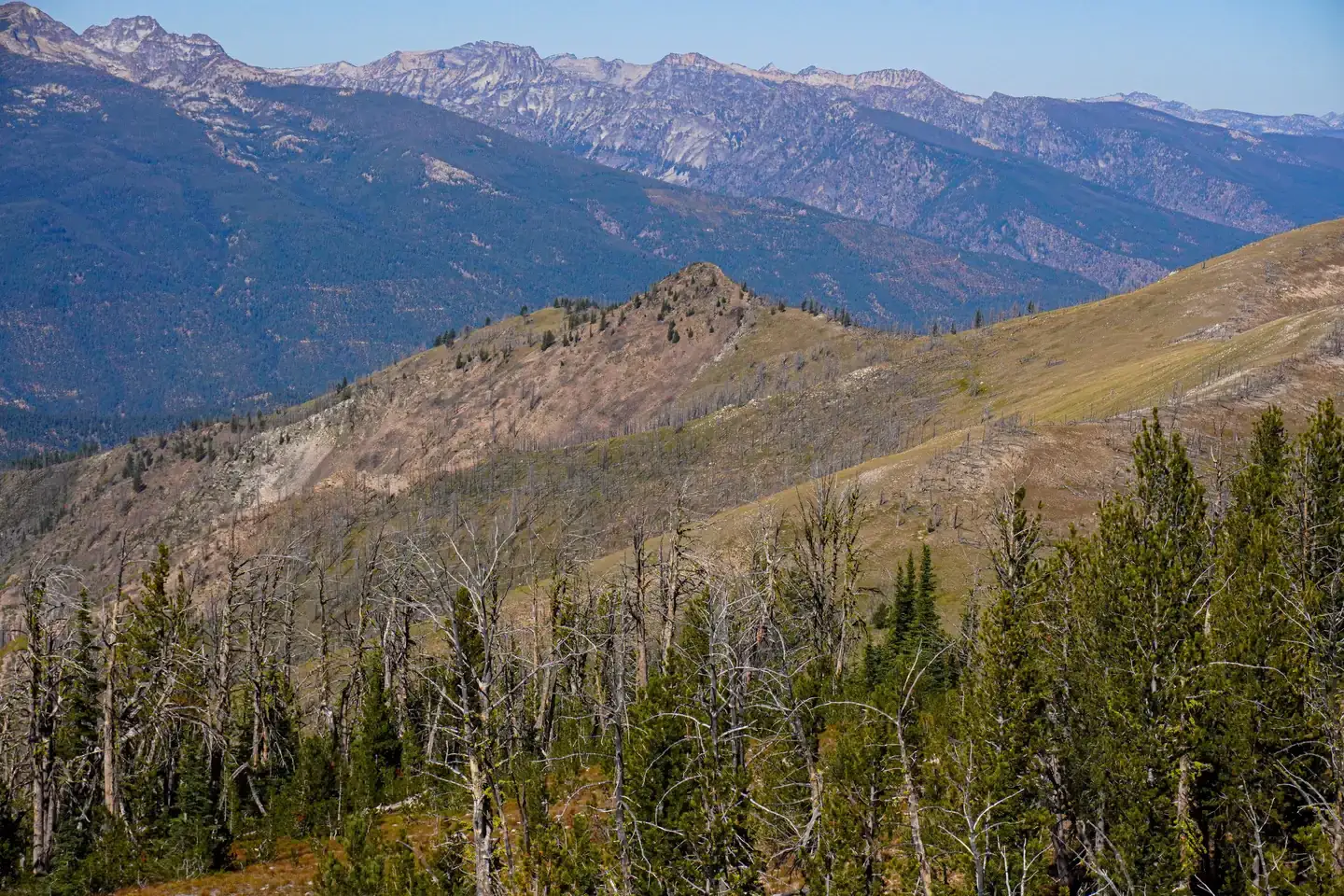 Camper-submitted photo at Medicine Point Lookout near Darby, MT