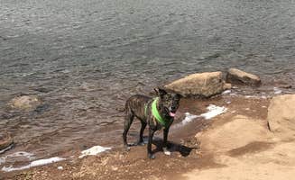 Sarah S.'s photo of camping with pets at Rainy Lake Campground near Underwood, WA
