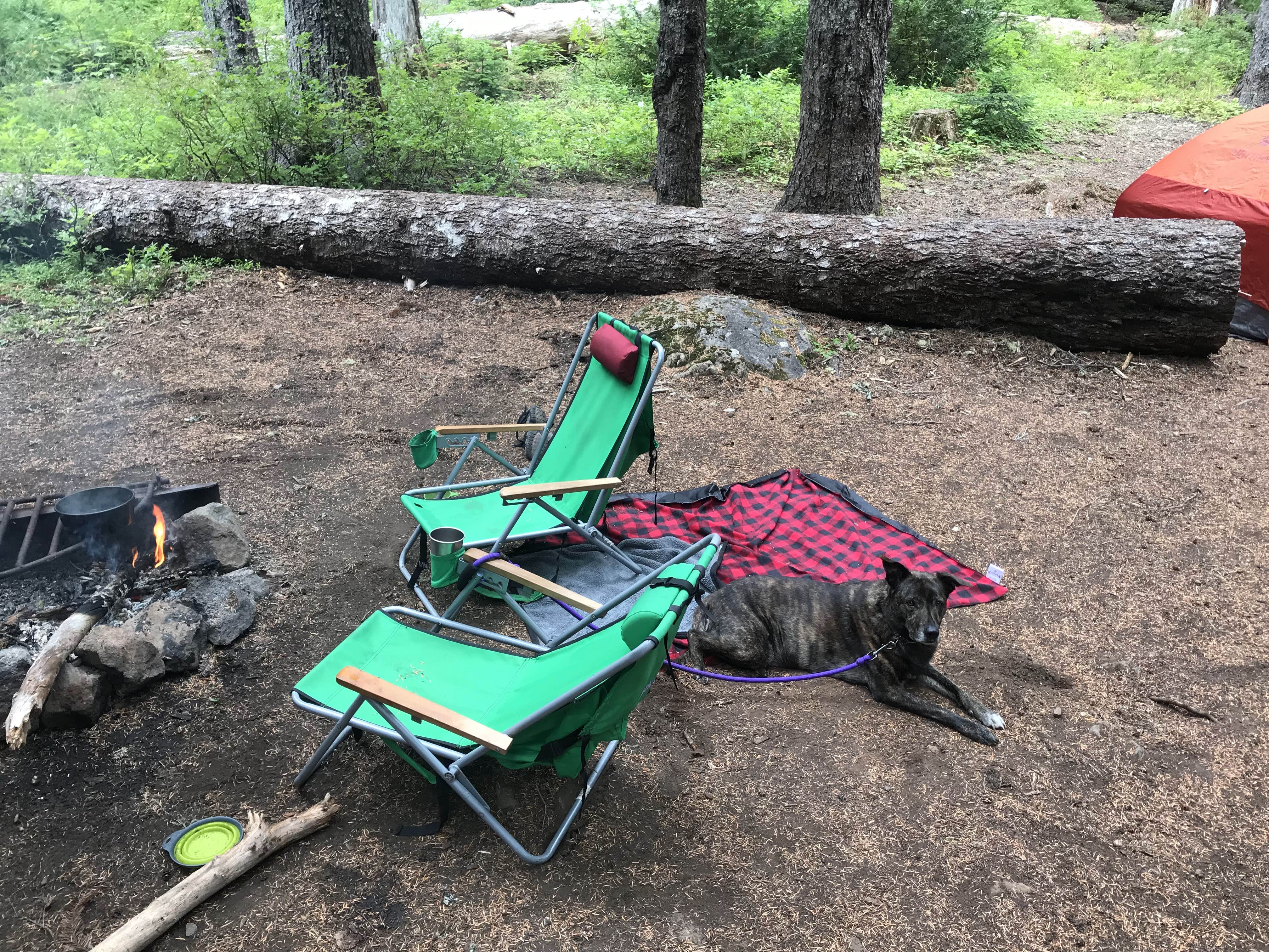Sarah S.'s photo of camping with pets at Rainy Lake Campground near Cascade Locks, OR