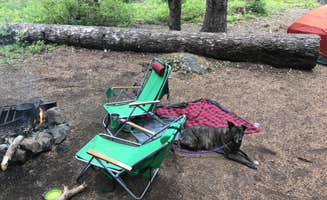 Sarah S.'s photo of camping with pets at Rainy Lake Campground near Columbia River Gorge National Scenic Area