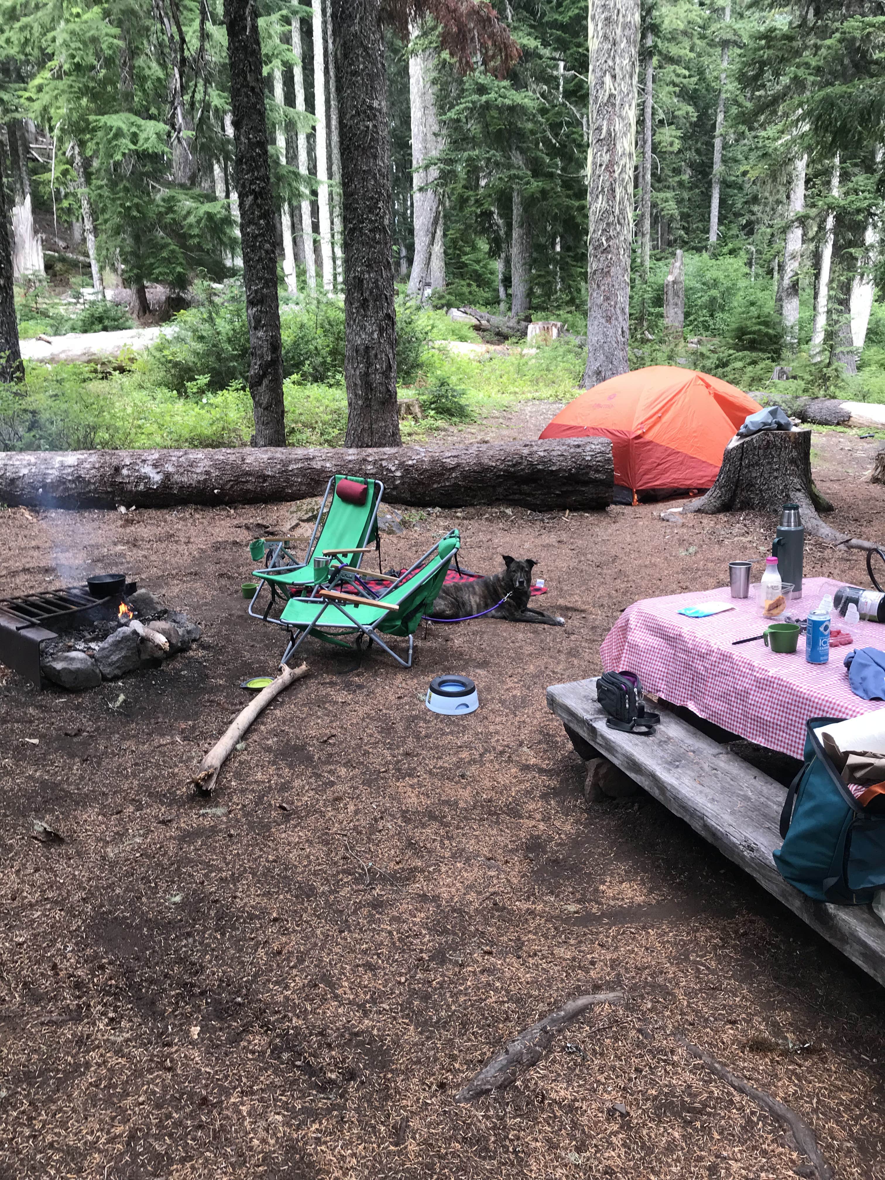 Sarah S.'s photo of tent camping at Rainy Lake Campground near Oregon City, OR