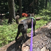 Review photo of Rainy Lake Campground by Sarah S., August 19, 2019