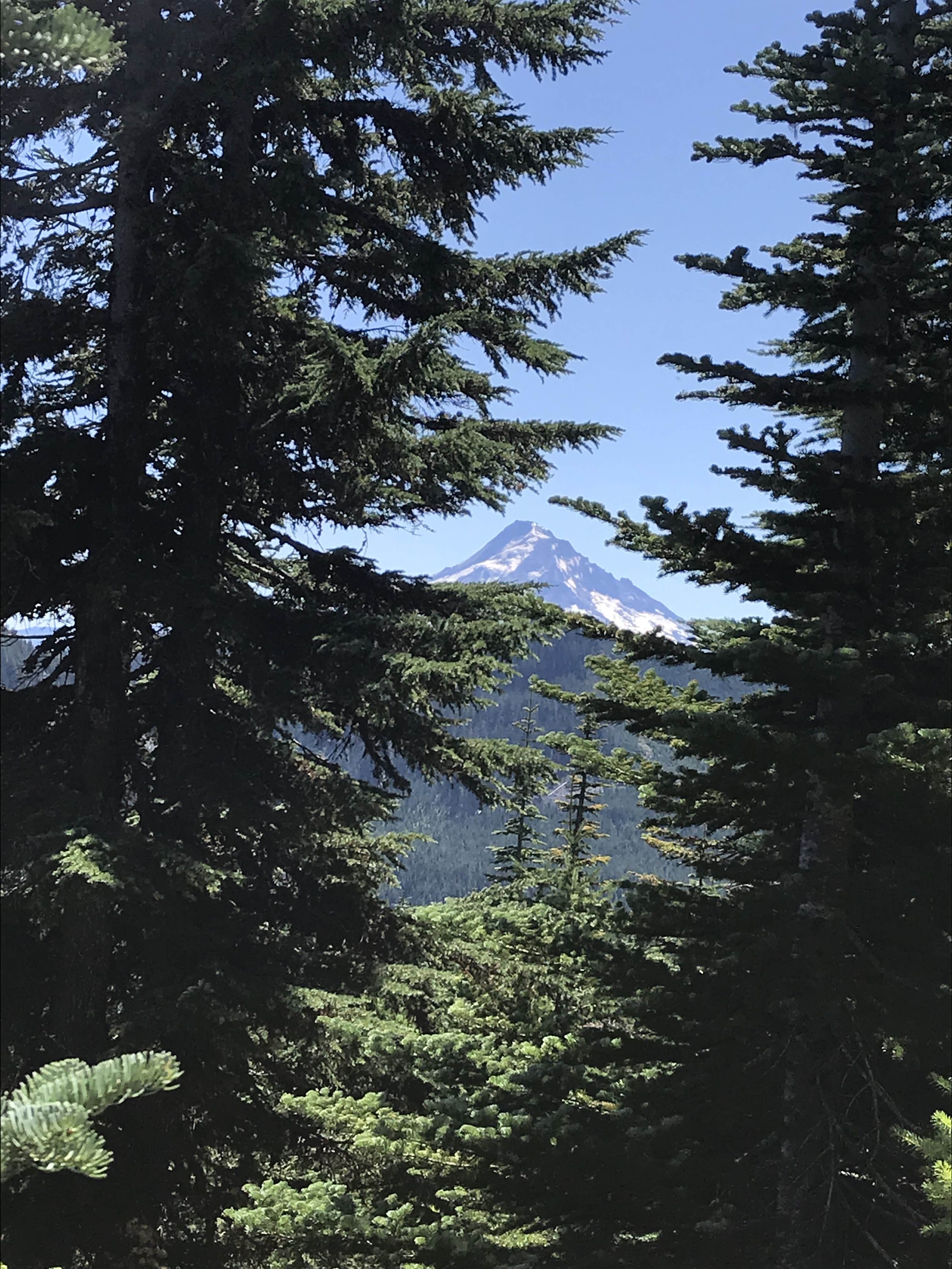 Camper-submitted photo at Rainy Lake Campground near Corbett, OR