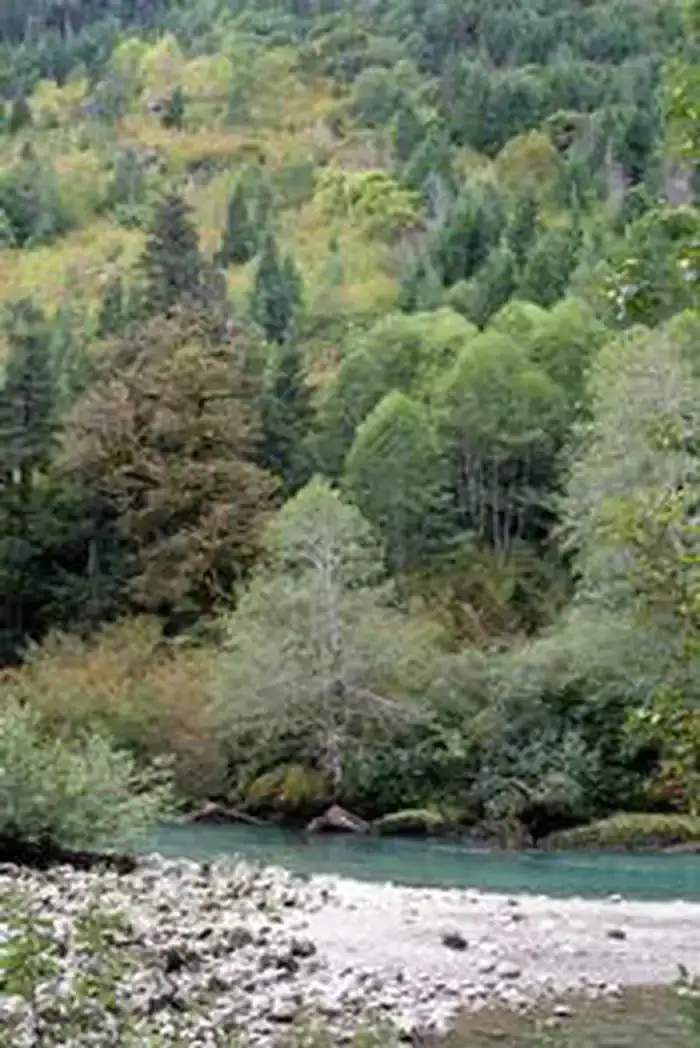 Camper-submitted photo at Marble Creek Campground near Marblemount, WA