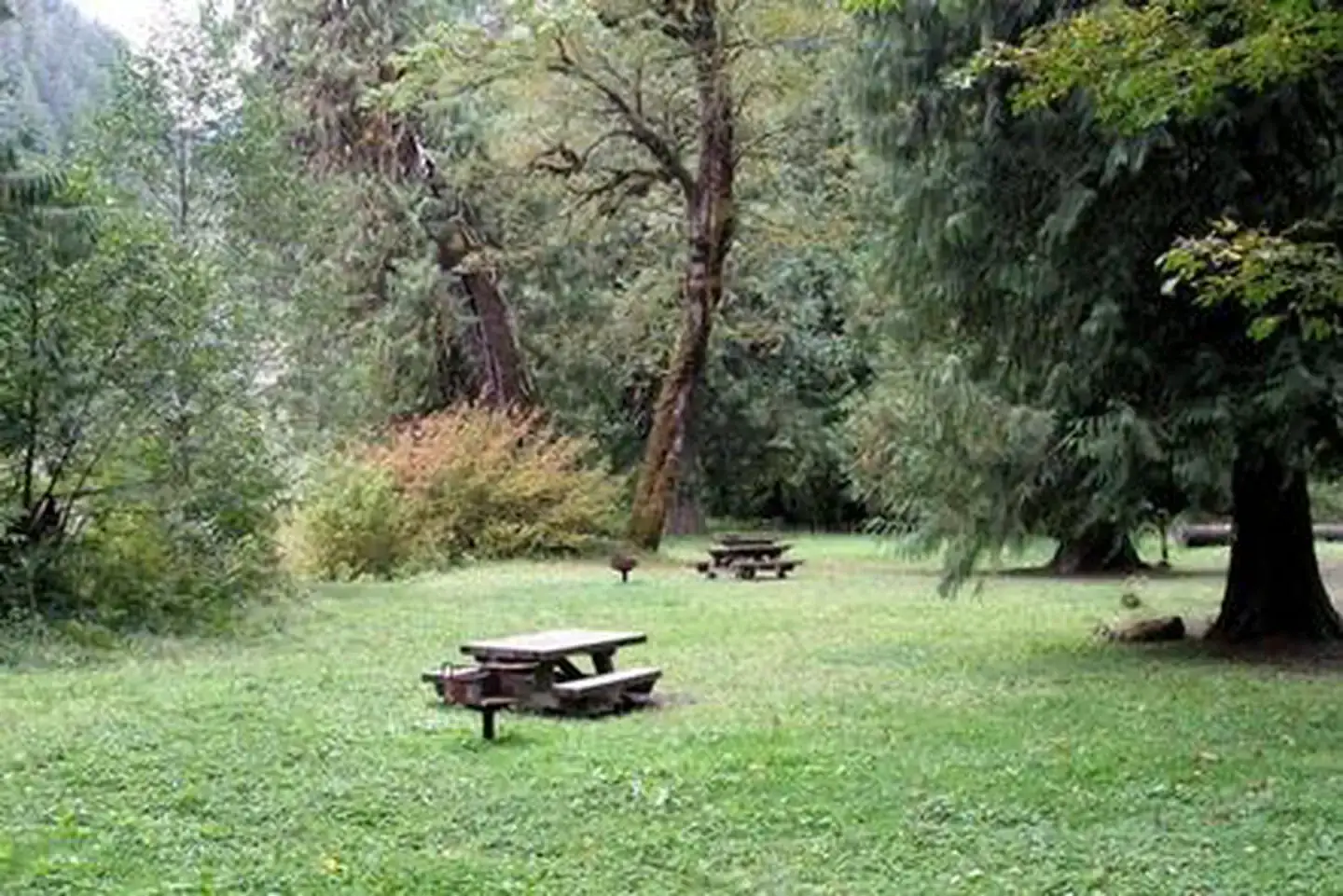 Camper-submitted photo at Marble Creek Campground near Marblemount, WA