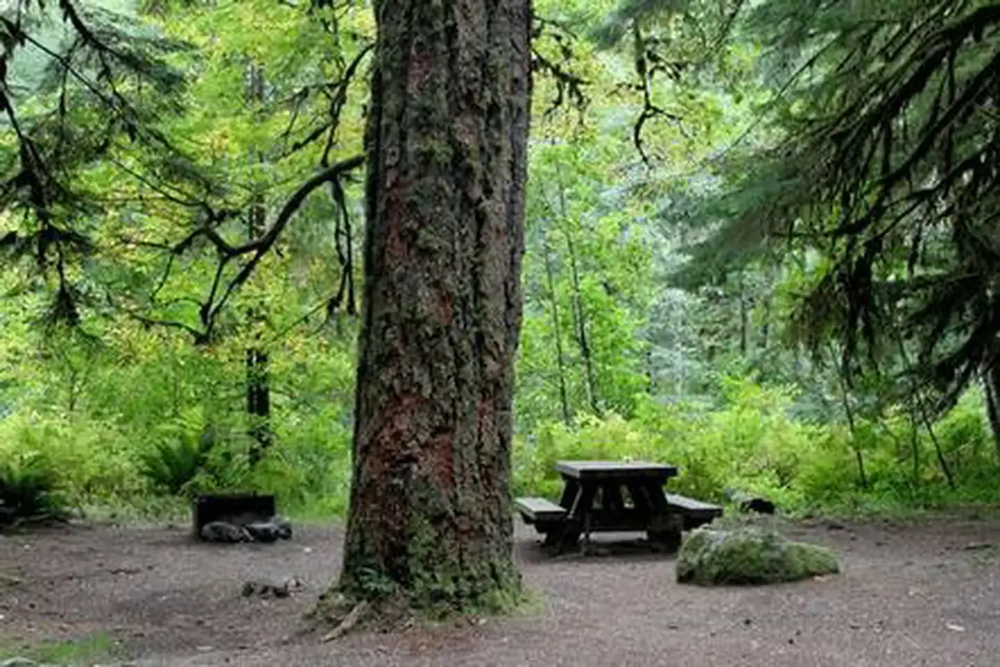 Camper-submitted photo at Marble Creek Campground near Marblemount, WA