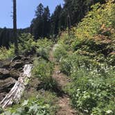 Review photo of Rainy Lake Campground by Sarah S., August 19, 2019