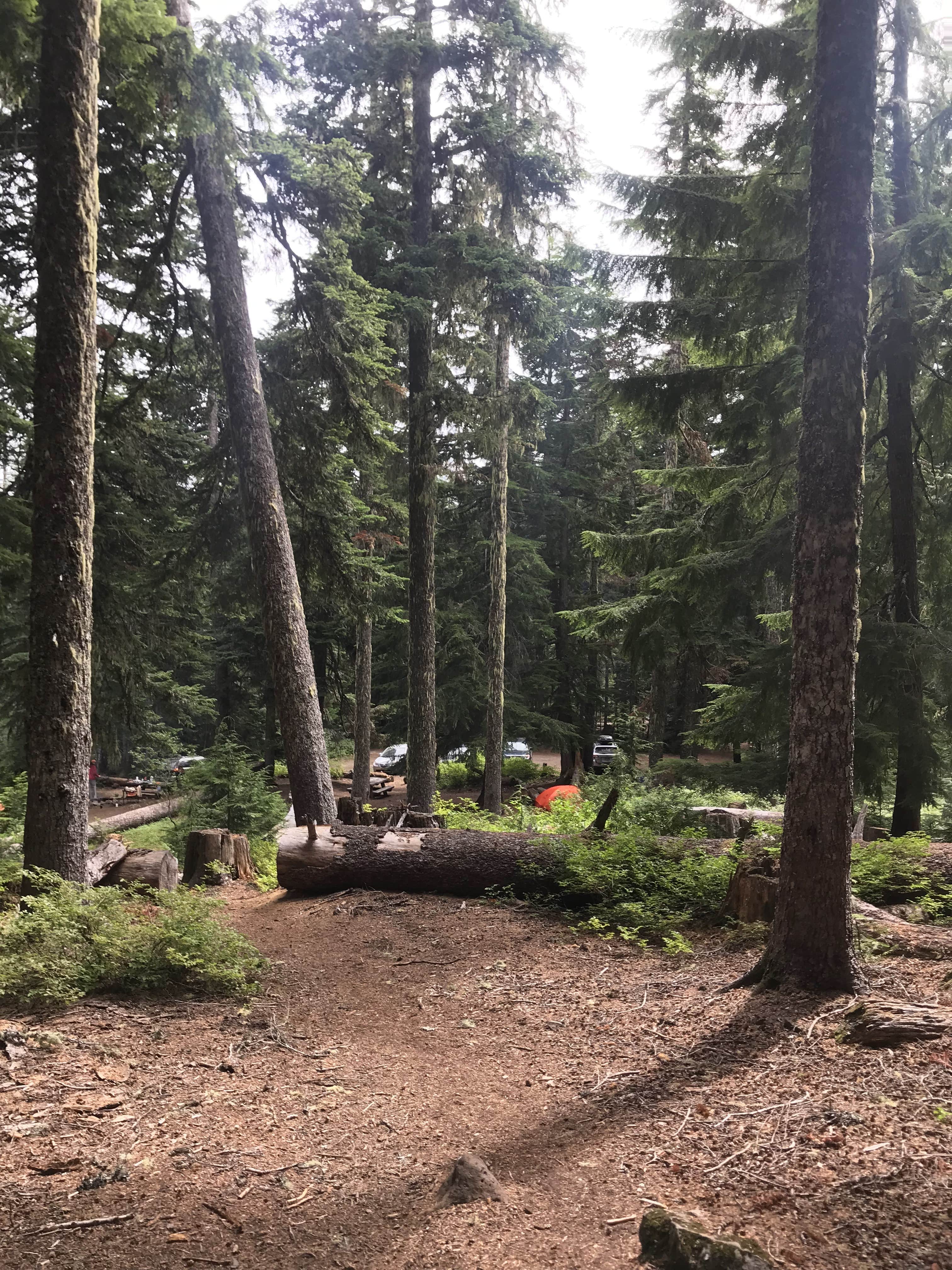 Camper-submitted photo at Rainy Lake Campground near Corbett, OR