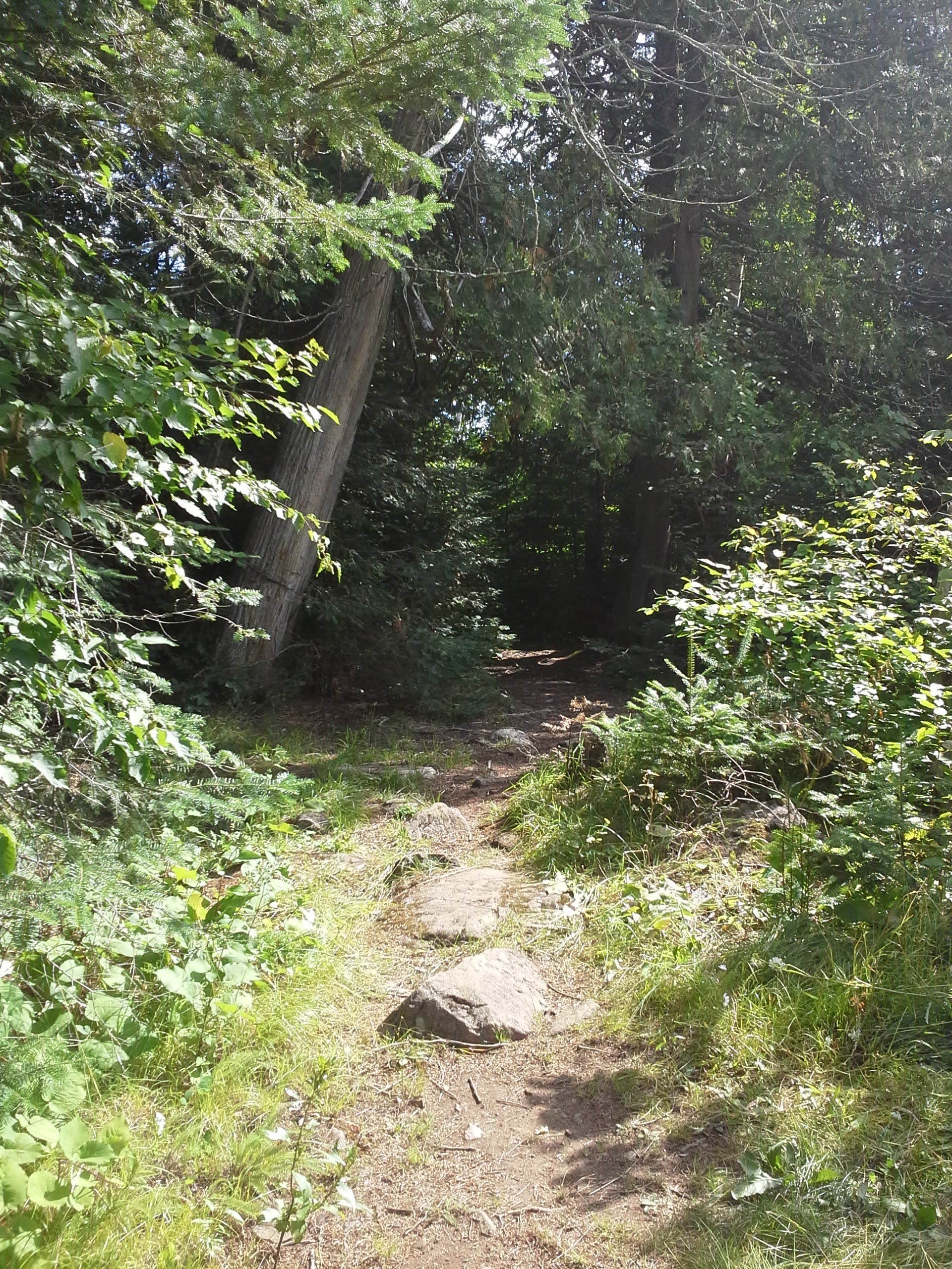 Camper submitted image from BWCA South Lake Camp 8 - 3