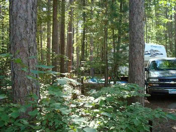 Camper submitted image from Norway Beach - Chippewa Campground Loop - 1