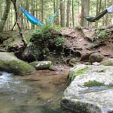 Review photo of Desoto Falls Recreation Area by Dave V., September 26, 2016