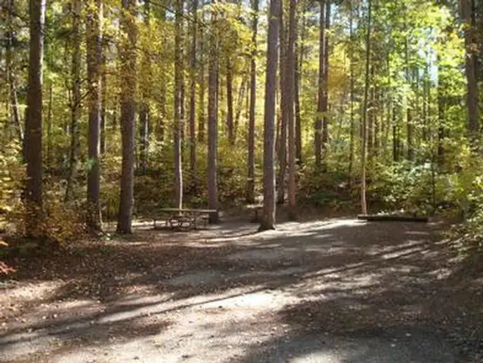 Camping near Wanaki Campground: Norway Beach Loop, Cass Lake, Minnesota