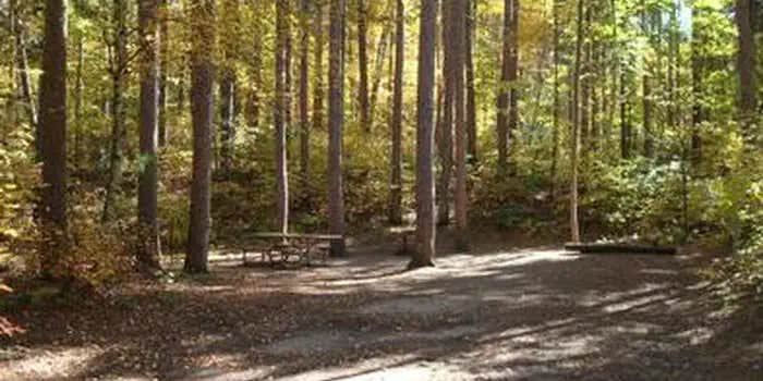 Camper submitted image from Norway Beach Loop