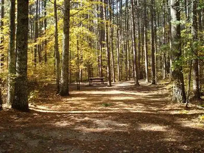 Camper-submitted photo at Norway Beach Loop near Cass Lake, MN