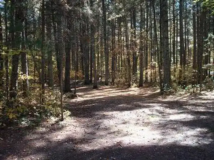 Camper-submitted photo at Norway Beach Loop near Cass Lake, MN