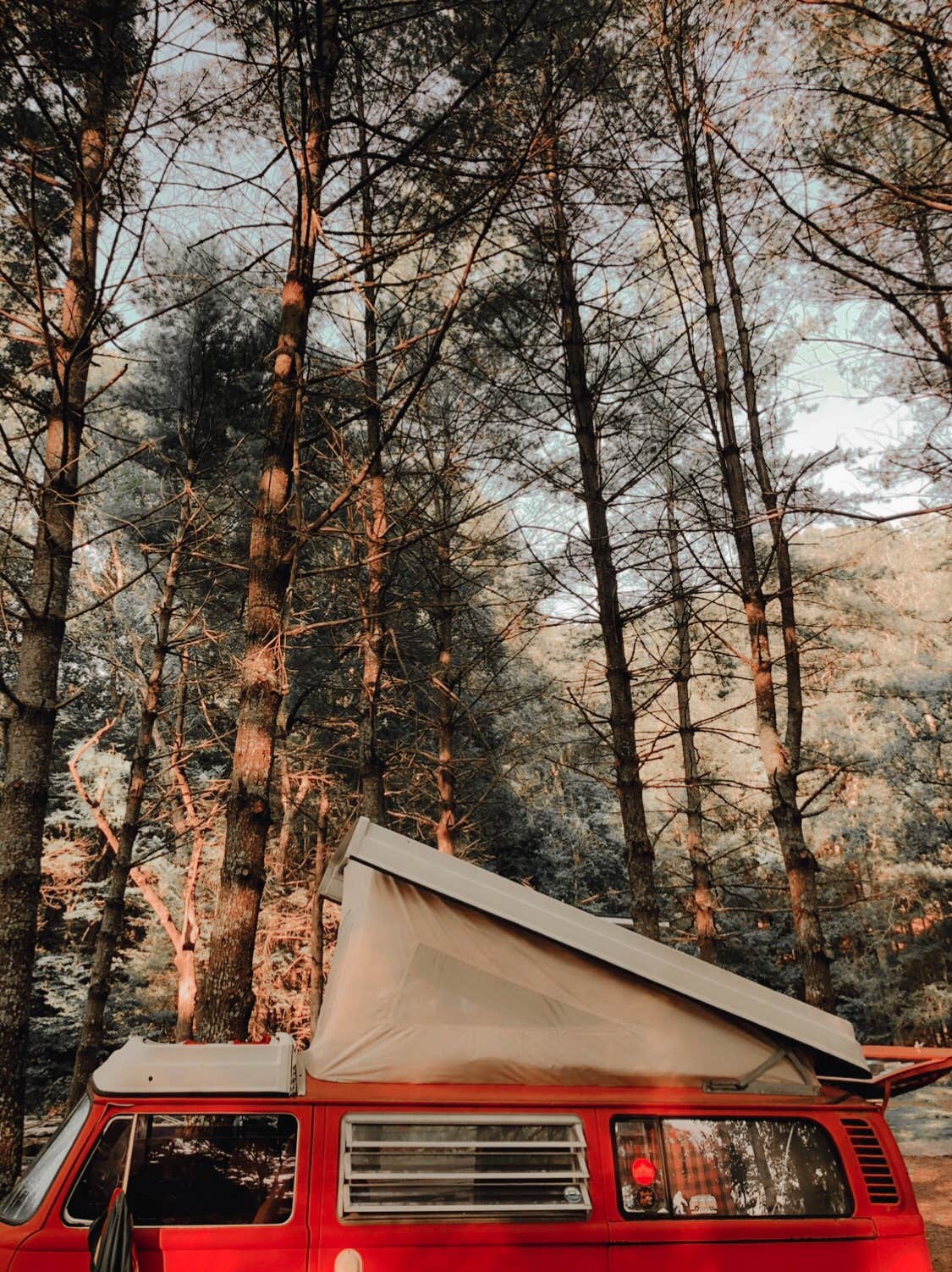 Camper submitted image from Nolichucky Gorge Campground - 4